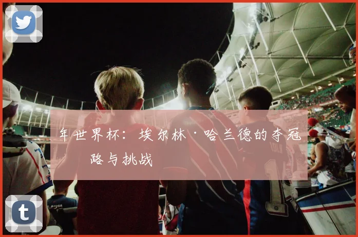 年世界杯：埃尔林·哈兰德的夺冠之路与挑战